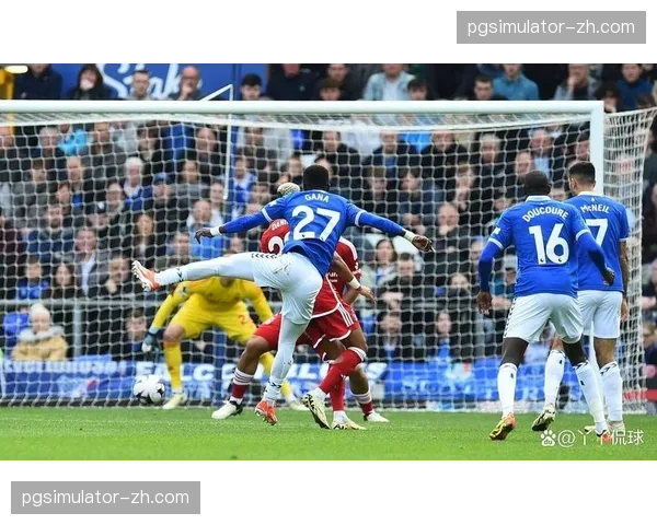 诺丁汉森林战平埃弗顿 保级路上关键一分 诺丁汉森林战平埃弗顿 保级路上关键一分